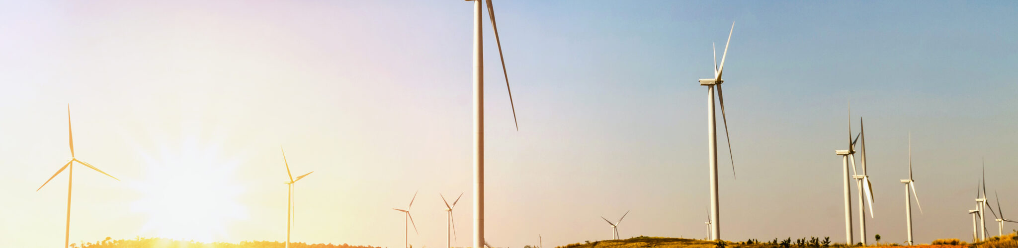 Solar panels and windmills generating electricity