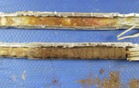 Photograph of frayed, aged connectors