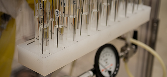 Closeup photograph of multiple test tubes filled with clear liquid samples
