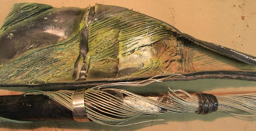 PRL1 Contaminated wet joint failure